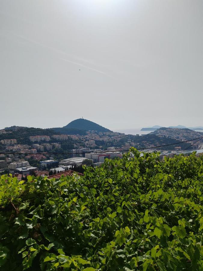 Mediterranean Vista Dubrovnik Dış mekan fotoğraf